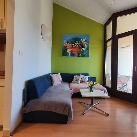 Janja Apartment Novigrad Istria Buitenkant foto