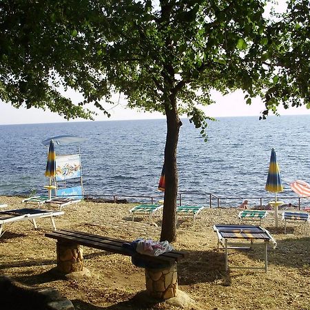 Janja Apartment Novigrad Istria Buitenkant foto