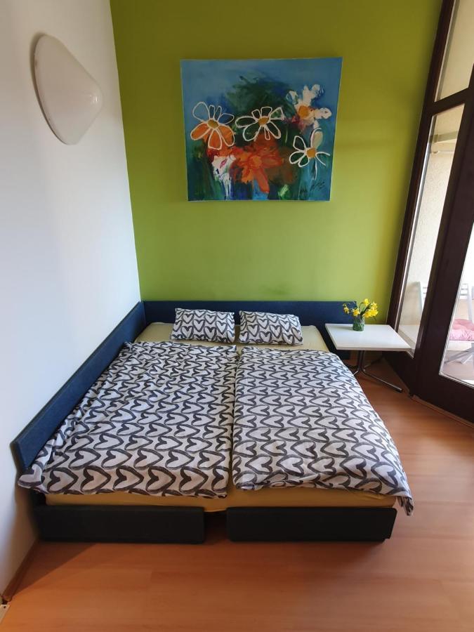 Janja Apartment Novigrad Istria Buitenkant foto